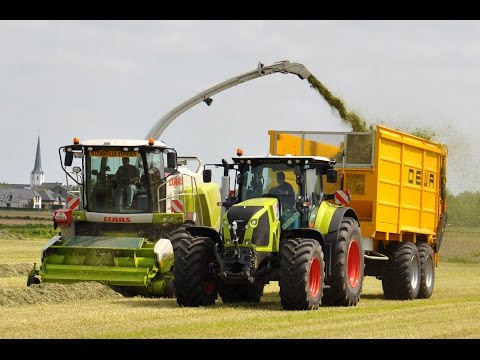 Claas Jaguar 960 - Loonw. Jurgen Baeke - gras hakselen