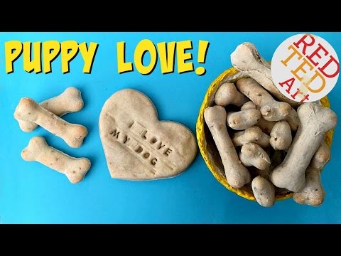 download lagu mp3 mp4 Dog Bedtime Biscuits Recipe, download lagu Dog Bedtime Biscuits Recipe gratis, unduh video klip Dog Bedtime Biscuits Recipe