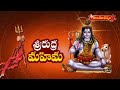 శ్రీరుద్ర మహిమ | Samavedam Shanmukha Sarma Pravachanam | Hindu Dharmam - Video