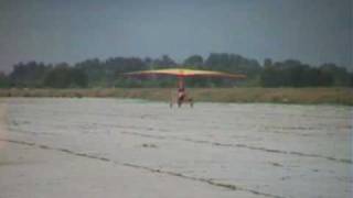 preview picture of video 'Daniel fly on the Ultralight aeroplane-motodeltoplane over'