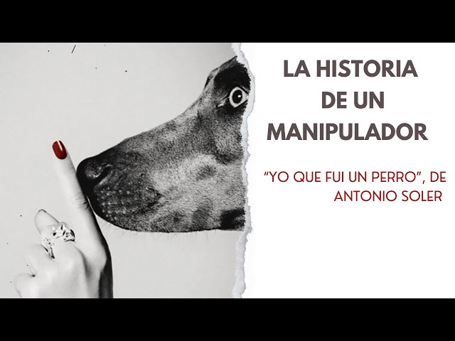 Vídeo relacionado con Una historia violenta (Narrativa)