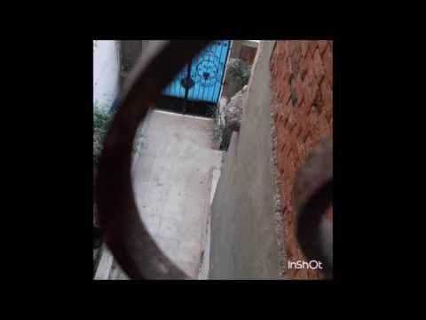 Gunfire, Explosions Hear Amid Deadly Attack in El-Arish