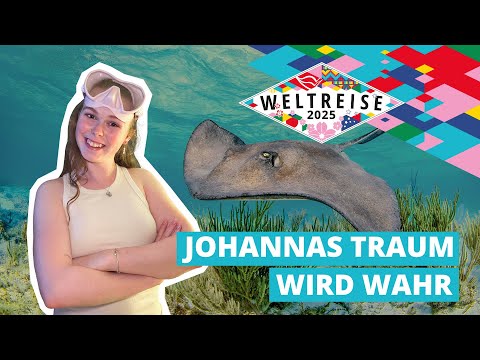 AIDA Cruises and AIDA Careers