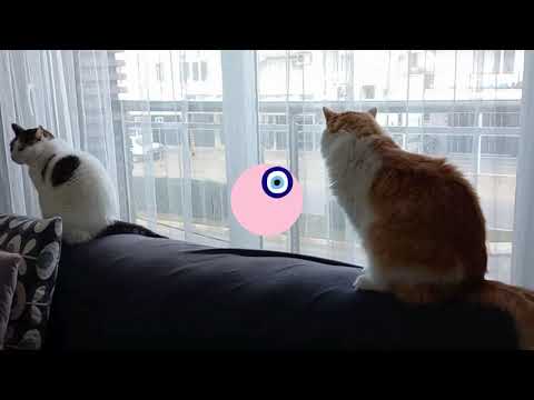 Bizimkiler kış moduna girdiler