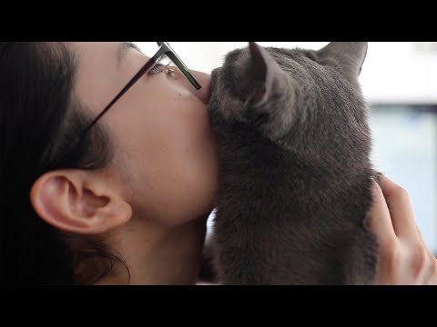 Mili - The Immortal Butterfly