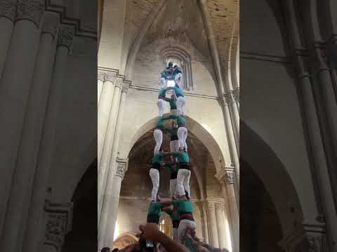 video-cover