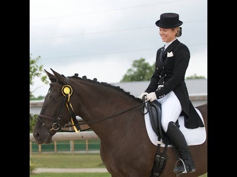ANDALUSIAN HORSE FOR SALE - ANDALUSIAN BREEDER YEGUADA D PRESENTING SMOKY BLACK PRE MARE