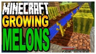 Minecraft -Growing Melons & Finding Seeds