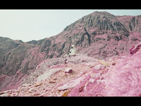 SOSA TMB - BUTTERFLY (feat. Trizz)