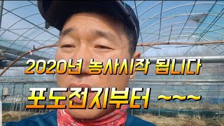 2020년 농사일 시작 됩니다 앞으로 다양한 작물이 소개 됩니다