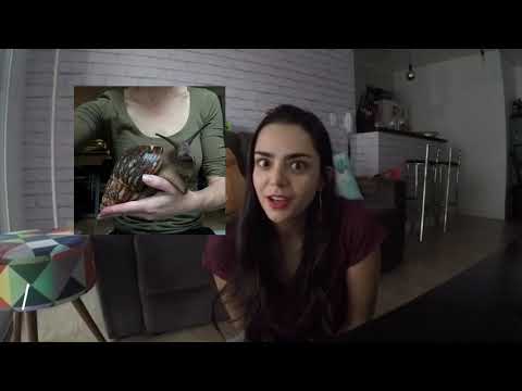 Reino Animal: Moluscos e Anelídeos!