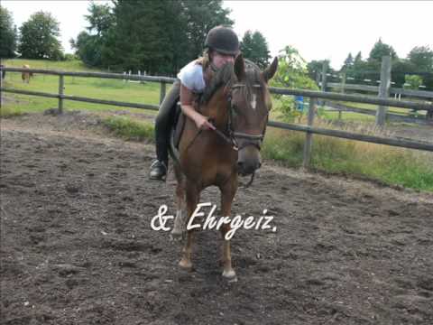 Jahres Rückblick von Serafyn (: