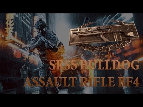 Battlefield 4 Dragon's Teeth DLC Guns: SRSS Bulldog Assault Rifle