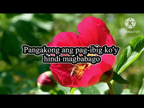 Ang buhay ko'y para sayo lyrics by Jc Regino