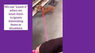 Umu’s first visit at Petsense