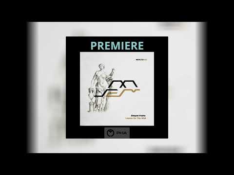 PREMIERE: Shayan Pasha - Leaves On The Wall [Movement Limited]