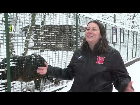 Zoološki vrt u Boru – atrakcija za posetioce i zimi