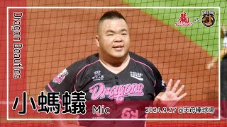 【台湾チア】小螞蟻 Mic | DragonBeauties小龍女 | 威弟小夥伴 + 郭嚴文 應援曲 + 嗆司曲 龍光乍現 [中文歌詞]