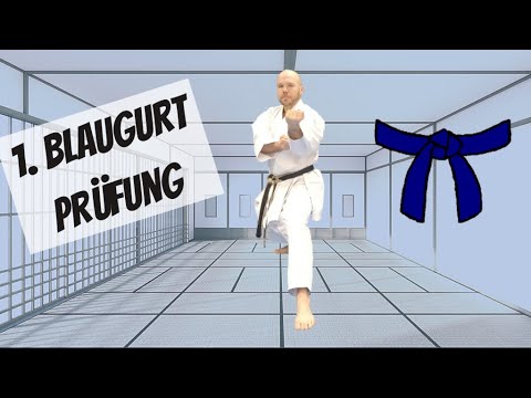 Become a Karate Master 5/10: Shotokan 1st Blue Belt Kihon Examination Program (5th Kyu, DKV)