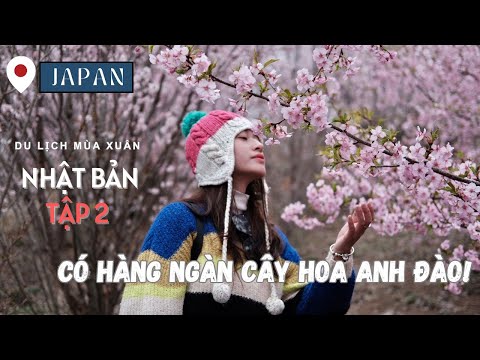 Du Lịch Nhật Bản #2: Tóquio - Fukushima - Vietravel Tour