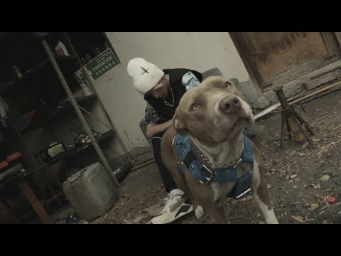 Conti YT - Pa Esto Nací (Shot by Blake)