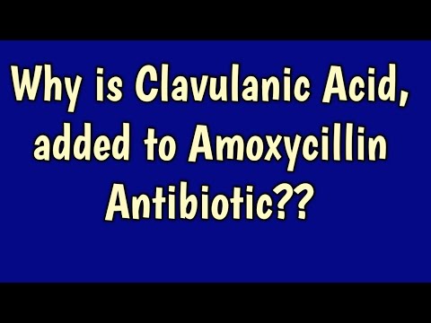Moxilan cv amoxycillin & potassium clavulanate 625