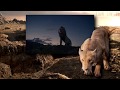 The Lion King 2019 Spirit Swedish Blu Ray Version HD