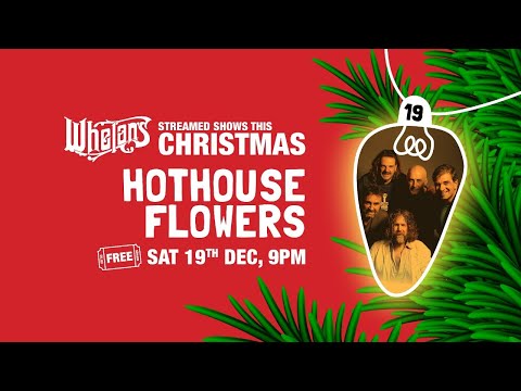 Hothouse Flowers LIVE from Whelan's