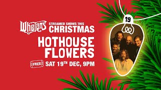 Hothouse Flowers LIVE from Whelan&#39;s