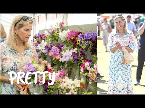 BLOOMING LOVELY! Duchess Sophie looks VERY PRETTY in summer dress at Windsor flower show