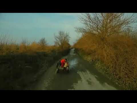 Felaket Aniktot (2019)