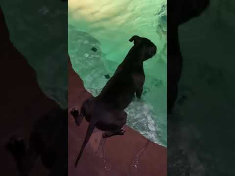 Brick’s Hot Boy Summer