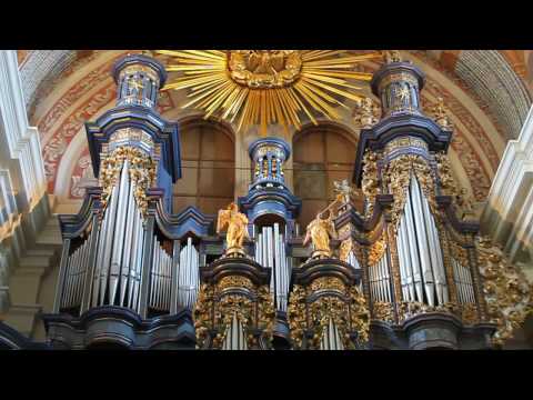 Święta Lipka - Polonez - Pożegnanie Ojczyzny organy (HD) EOS 500D