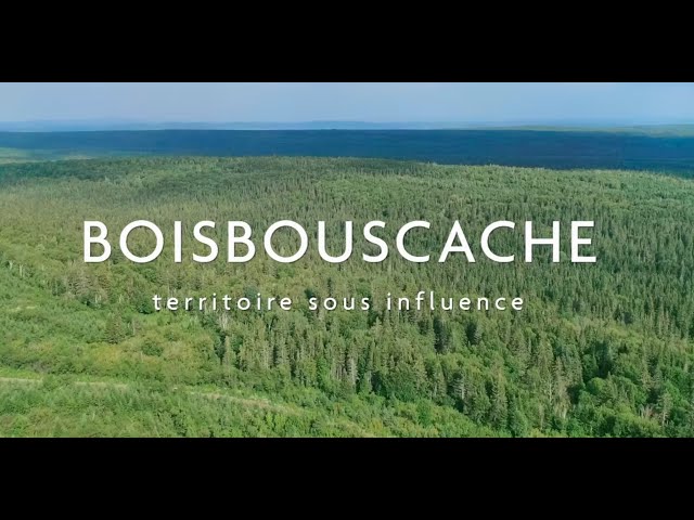 Boisbouscache | Bande-annonce officielle