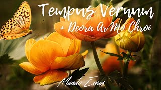 Enya - Tempus Vernum &amp; Deora Ar Mo Chroí (Visualizer)