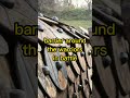 The Viking Shield Wall
