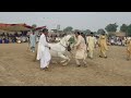 ghoda nelam | horse dance 2024 | mela peer shah | haji Anwar kharal -51