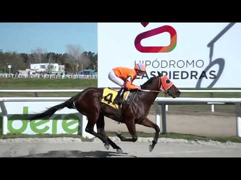 230811 c02 - TROPIK TONIK - HIPODROMO LAS PIEDRAS