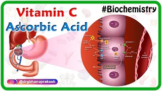 Vitamin C / Ascorbic acid Animation - Metabolism,Sources, Synthesis , functions, Scurvy