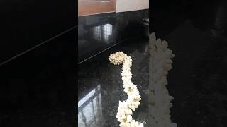 Tips to store jasmine flower in fridge for 1 week || #shorts #trending #song