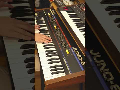 Roland Juno-6 & Sequential Prophet-6 #synth #synthesizer #electronicmusic #ambient #synthwave
