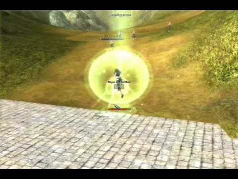 9Dragons - Beggar Nuker Best Skills