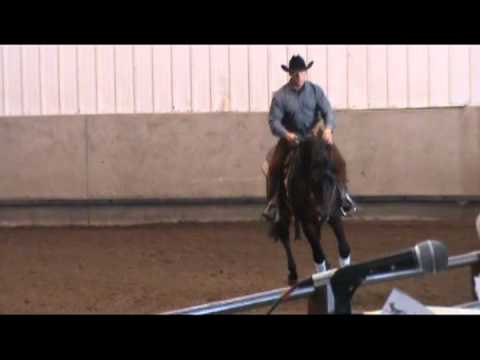 Rifle 1 SS Reining 1st Yr Green 111013.mpg