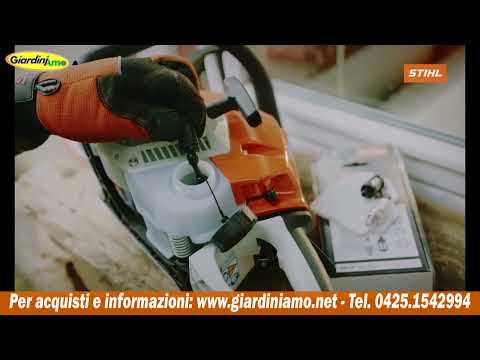 Miniatura Video