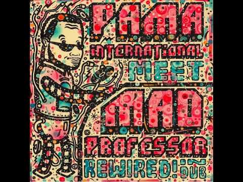 Pama Intl. Meet Mad Professor - Rewired! In Dub [Rockers Revolt CD, 2010]