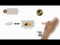 Drug Discovery And Development Process
