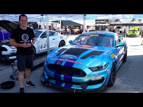 How is the 2019 Ford Mustang GT4 the ULTIMATE Shelby GT350R?