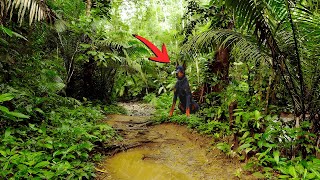 128 Días: La Increíble Lucha de un Dóberman en la Selva Más Peligrosa del Planeta