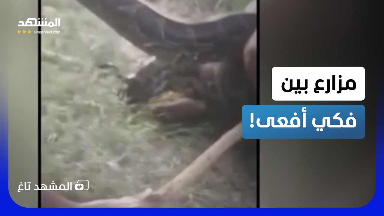 عمال ينقذون مزارعا من عصرة ثعبان..نجا من الموت بأعجوبة!  – المشهد تاغ