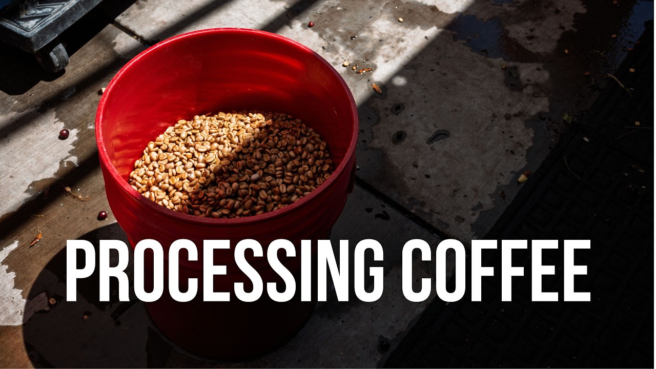 Processing California Coffee at FRINJ